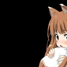 form, Spice and Wolf