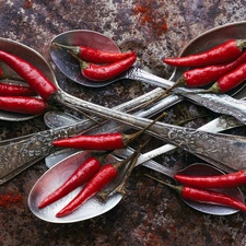 Silver, Spoons, Chilies, Chili, vegetables