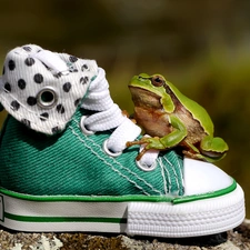 strange frog, ##, Sport