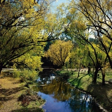 Park, Creek, Spring, Morses