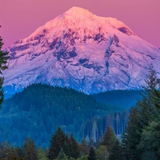 viewes, Stratovolcano, mount, State of Oregon, snow, mountains, Mount Hood, The United States, Spruces, trees