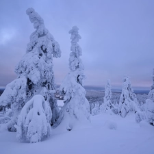 Snowy, winter, viewes, Spruces, trees, Mountains