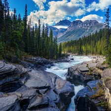 River, Mountains, viewes, Spruces, trees, rocks