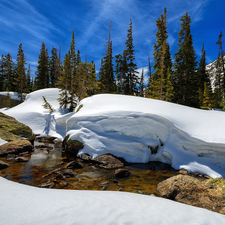 Spruces, Stones, snow, River, winter