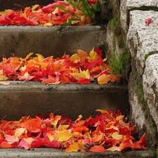 Stairs, color, Leaf