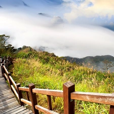 Mountains, grass, Stairs, Fog