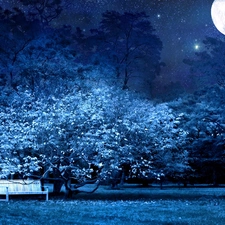 star, Bench, Night, moon, Park