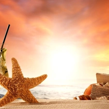 composition, Great Sunsets, Drink Mojito, starfish, Beaches