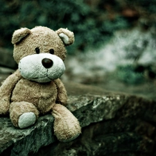 toy, Plush, Stone, teddy bear