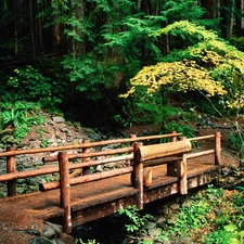 forest, bridges, Stones, wooden