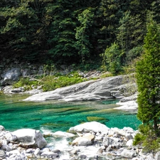 Stones, River, forest