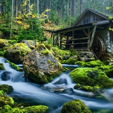 Stones, forest, water, River, Windmill