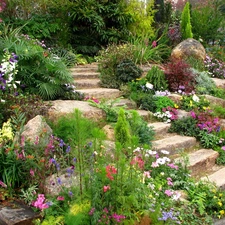 Garden, Stairs, Stones, Flowers