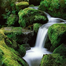 Stones, waterfall, mossy