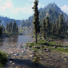 River, woods, Stones, Mountains