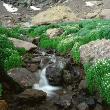 stream, Stones