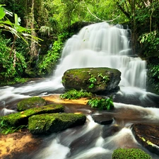 Stones, jungle, waterfall