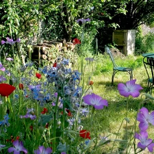 Garden, table, Stool, Flowers