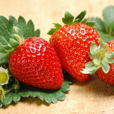 strawberries