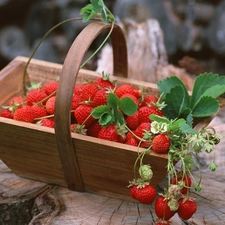 basket, strawberries