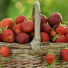 strawberries, wicker, basket
