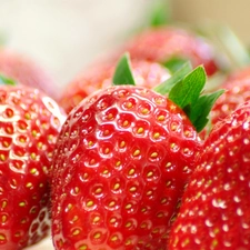 strawberries, Three, Mature