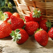 robust, strawberries