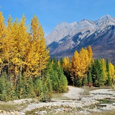 stream, Mountains, autumn