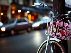 Bike, Town, Street, Flowers