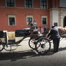 Street, cab, Horse