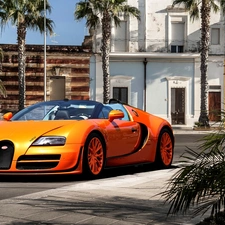 Palms, Bugatti Veyron Vitesse, Street