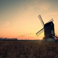 sun, birds, Meadow, west, Windmill