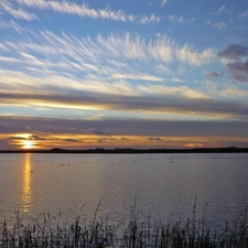 sun, clouds, grass, west, River