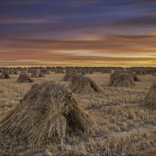 Field, west, sun, Sheaves