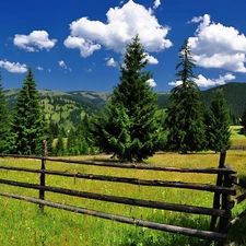 Spruces, Mountains, clouds, fence, sun, shadow, luminosity, medows, woods, flash, ligh