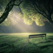 ligh, viewes, flash, Bench, trees, sun, luminosity