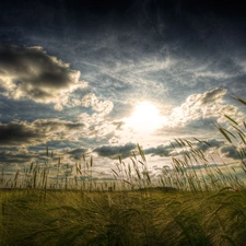 ligh, Sky, flash, Przebijające, clouds, sun, luminosity