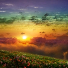 sun, Meadow, clouds, west, color