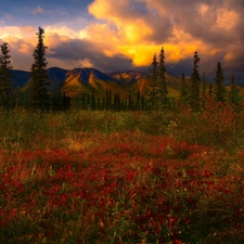 Mountains, west, sun, medows