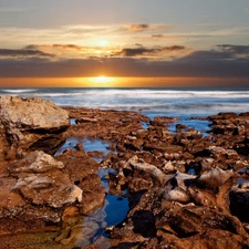 sea, west, sun, rocks