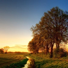 stream, west, sun, Field