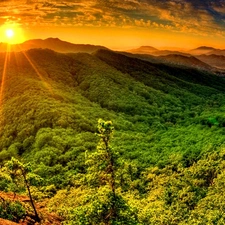 sun, summer, forest, rays, Mountains