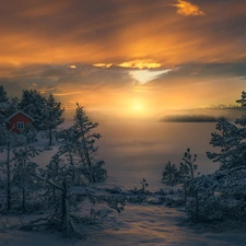 Sunrise, trees, house, Ringerike, snowy, winter, viewes, Norway, Fog, lake