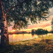 birch-tree, Great Sunsets, trees, viewes, River