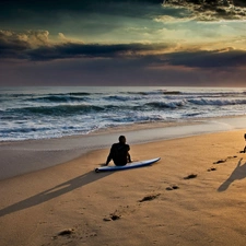 sea, dog, surfer, Beaches