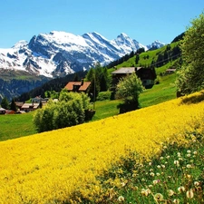 Mountains, Houses, Switzerland, Meadow