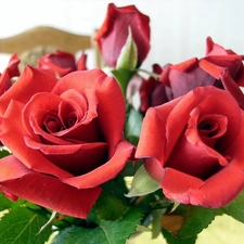 Table, bouquet, rose