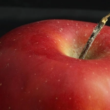 tail, Red, Apple