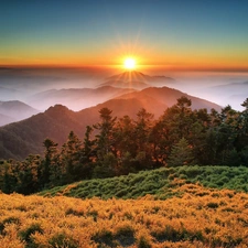 China, Taiwan, Fog, west, Mountains, Park, national, sun