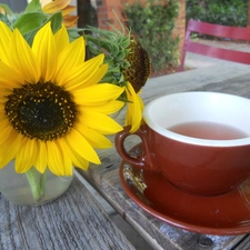 tea, Sunflower, cup